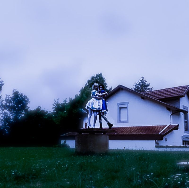 Hortensia_ – Alice