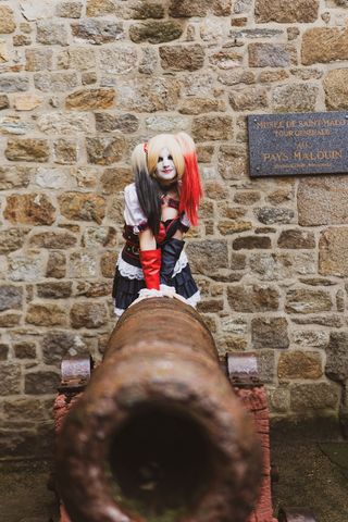 Harley quinn