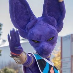 Beerus preview 3