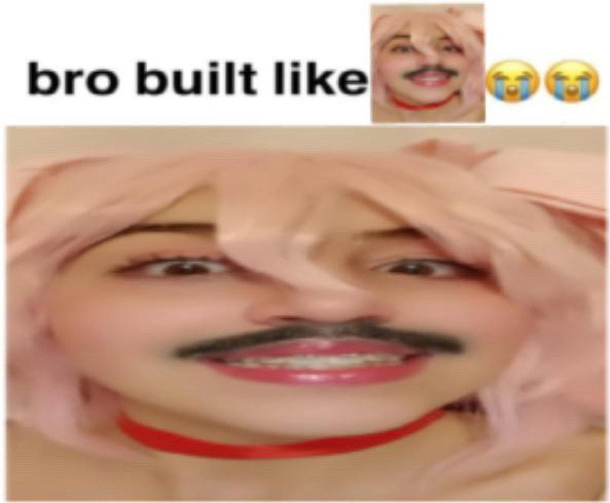 Kai’s silly memes — photo 30