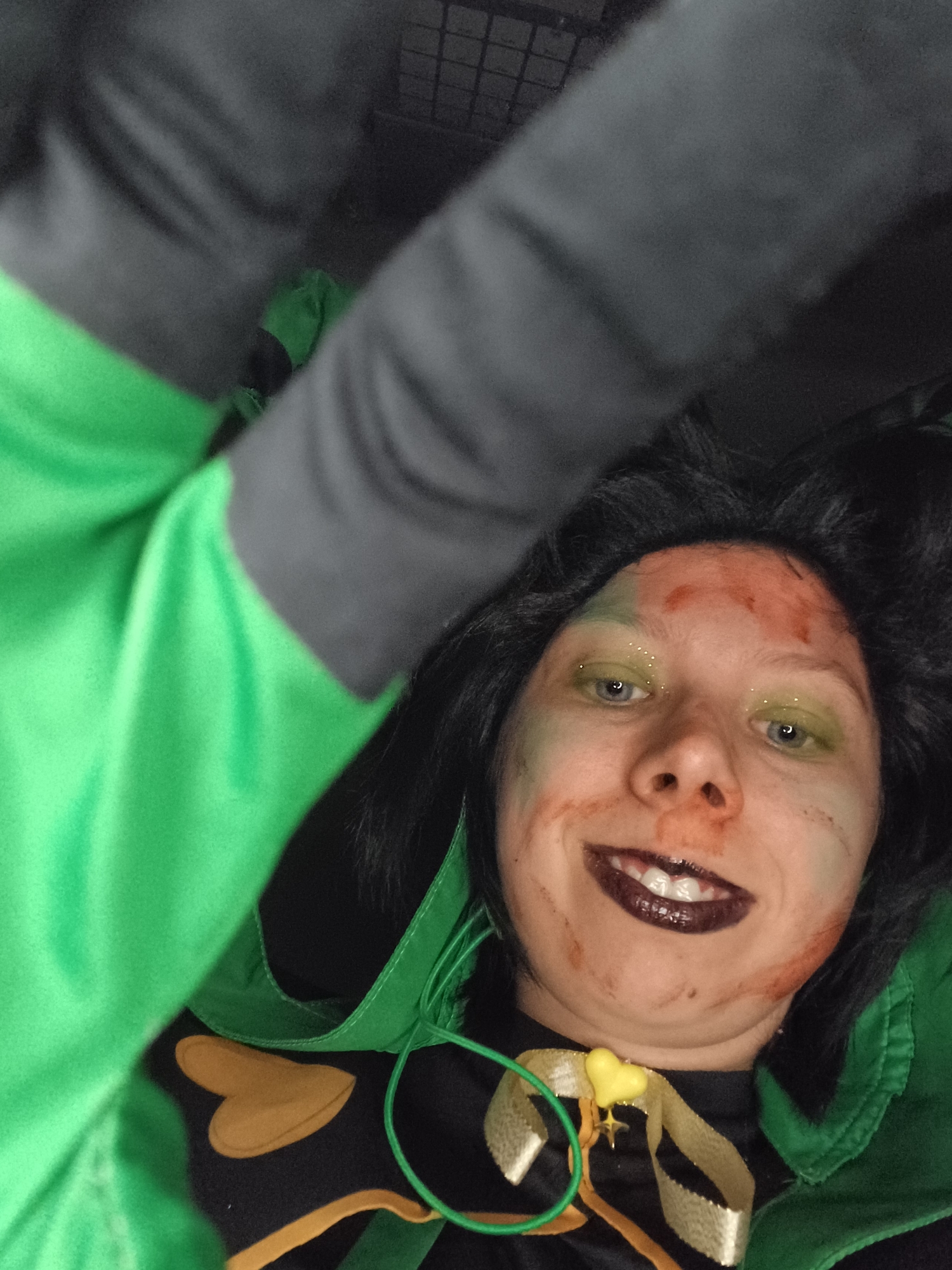 Harlequin, photo 14