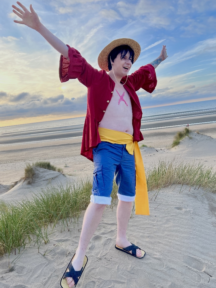 Luffy à la plage — photo 18