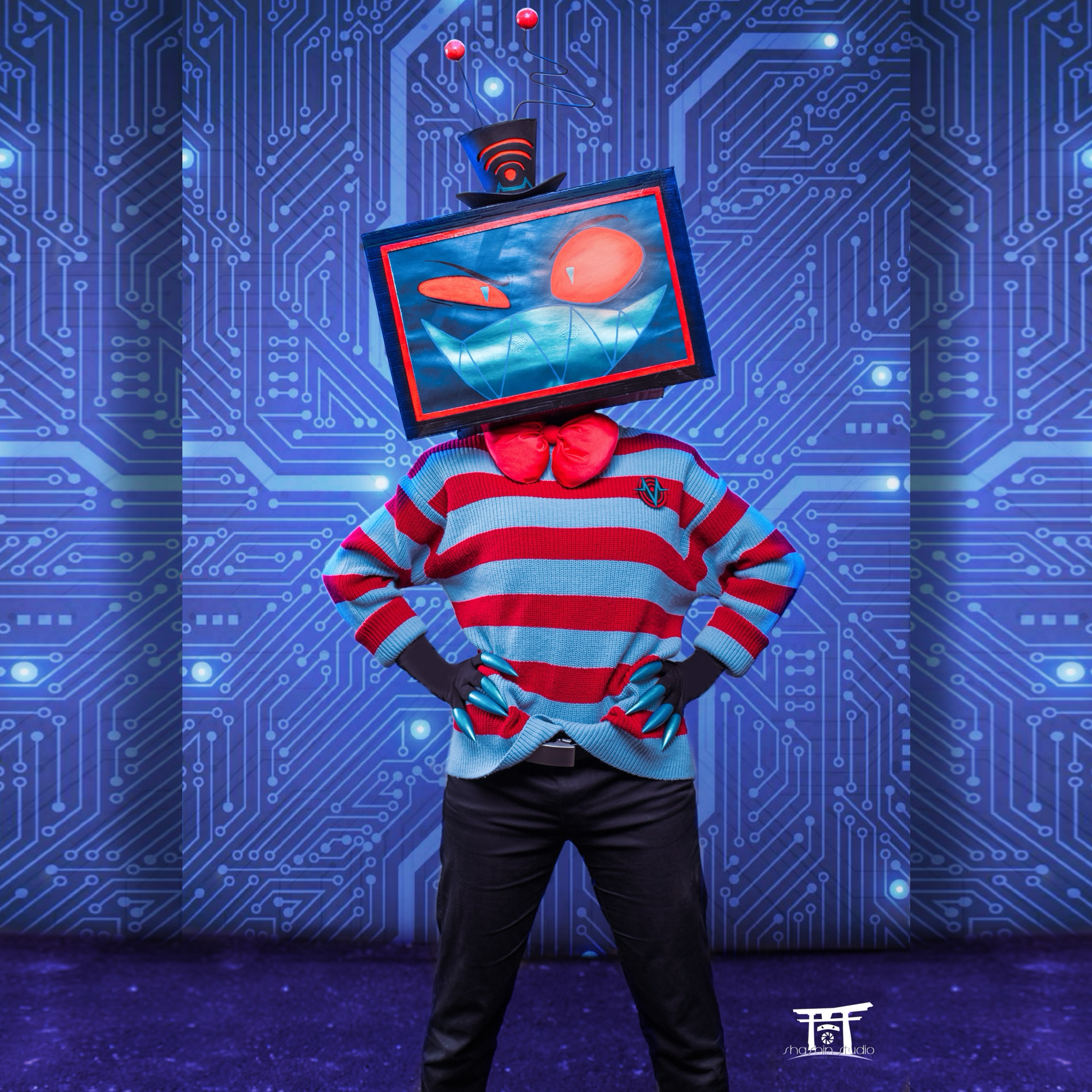 Vox ( placard )  - Photo 3