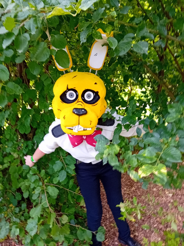 Orchies Festival - Photo 3