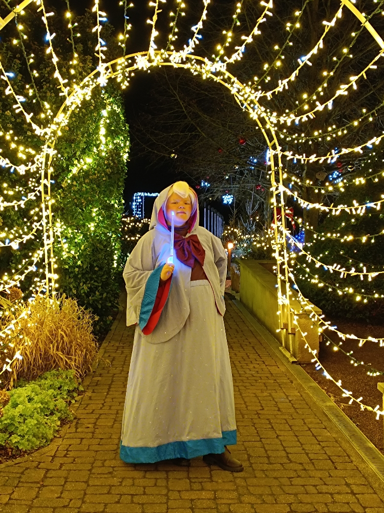 Bonne fée de Noël — photo 24