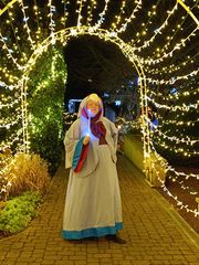 Bonne fée de Noël preview 2