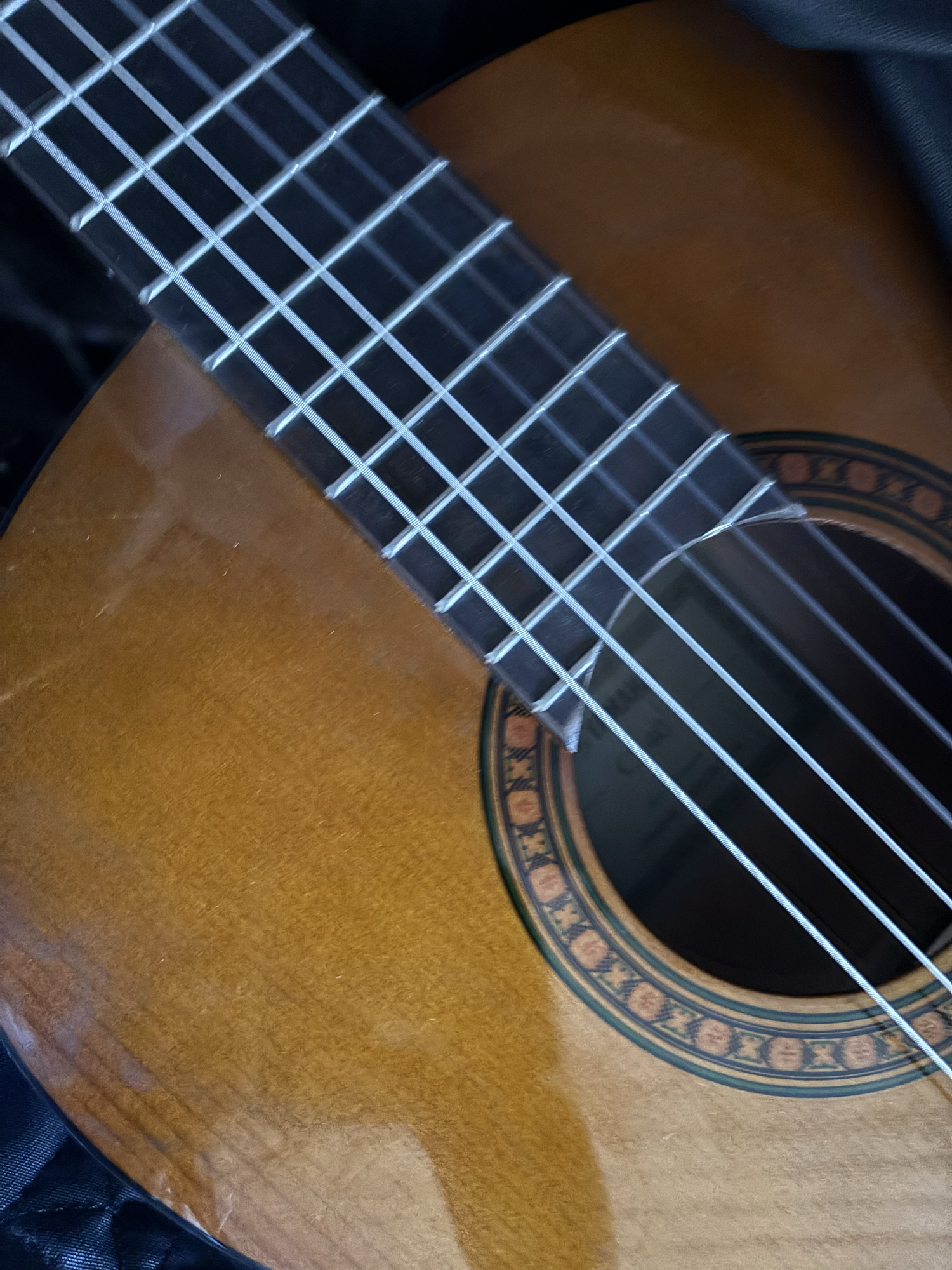 Guitare (Bocchi) — photo 6
