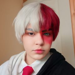 Shoto Todoroki preview 3