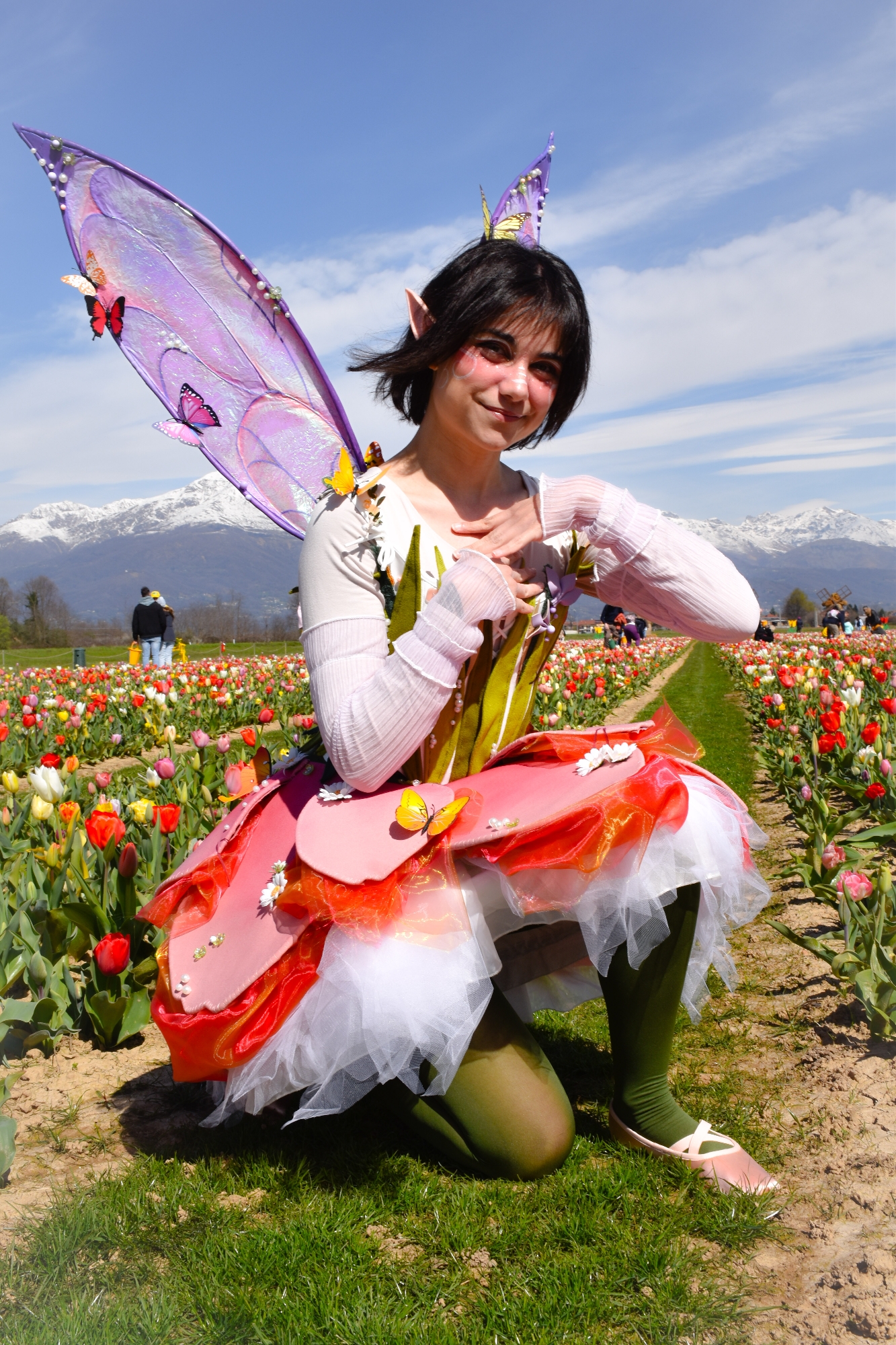 Lale the FairyTulip — photo 9