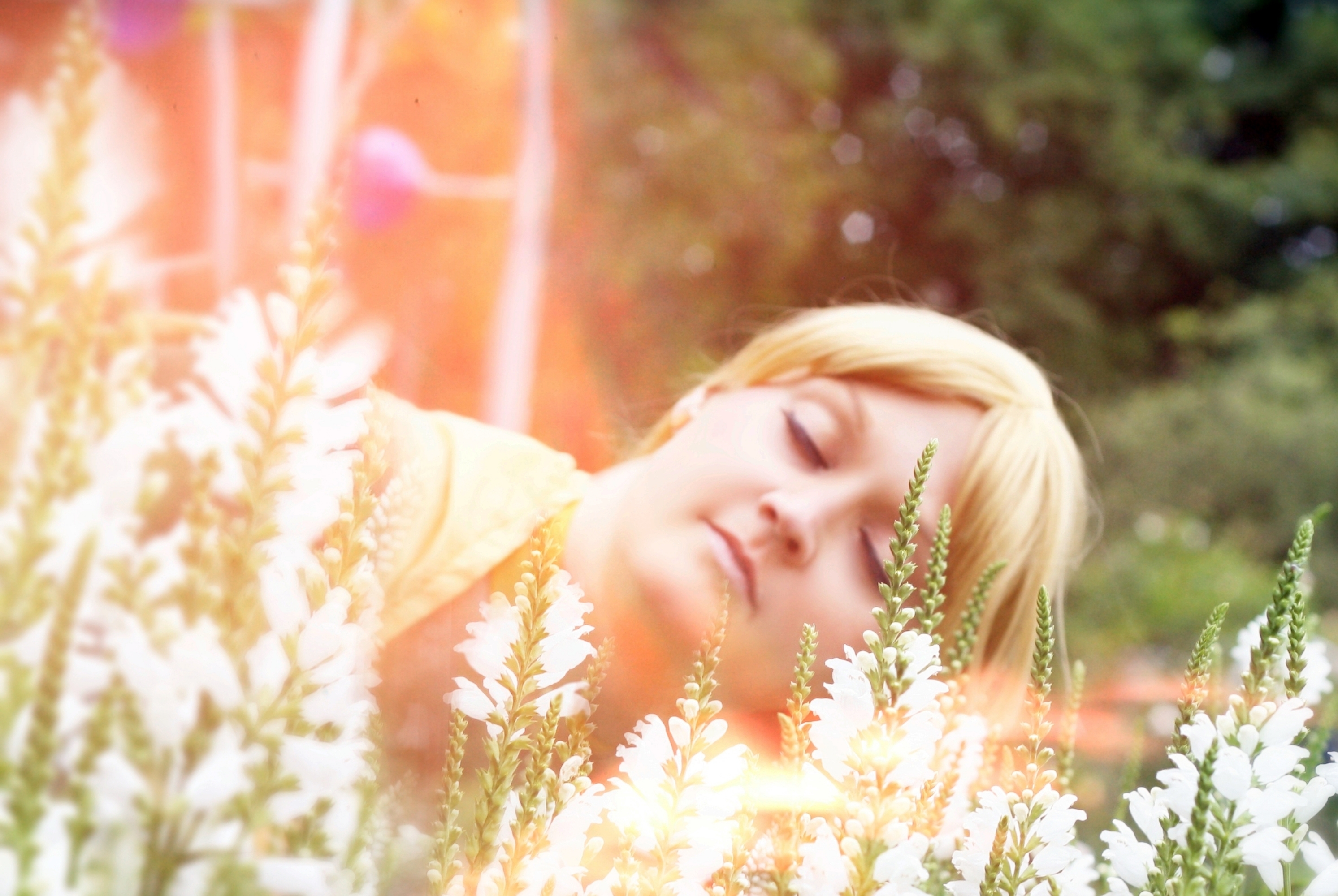 Princess Venus-Anime - Photo 3