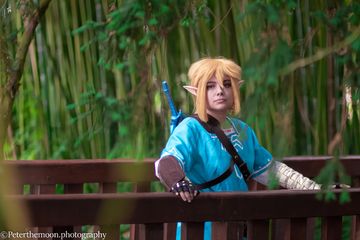 Link et zelda preview 2