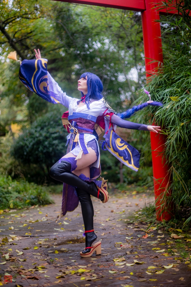 Shogun raiden  - Photo 1