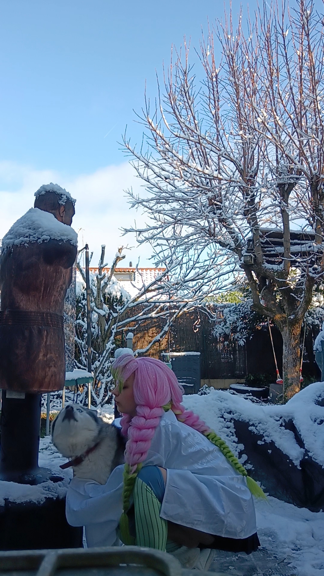 Mitsuri Kanroji - Photo 21