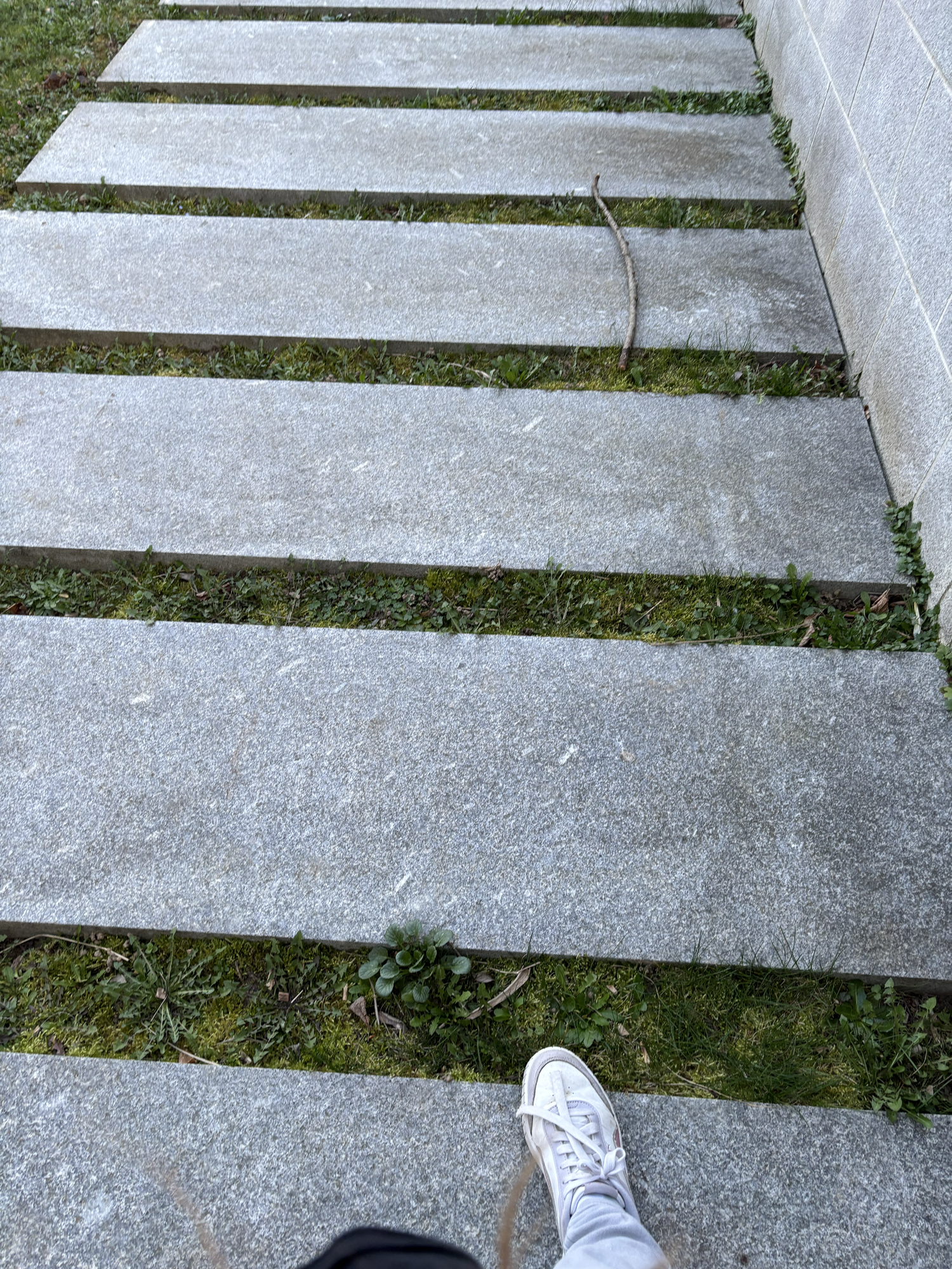Miyo — photo 19