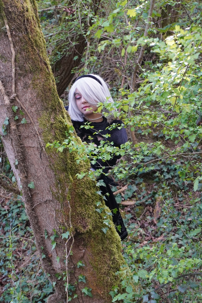 2B — photo 27