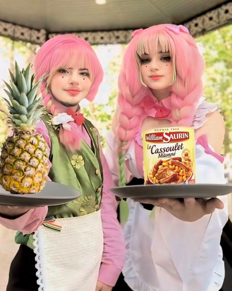 Petit_ornithorynque_ - Mitsuri maid