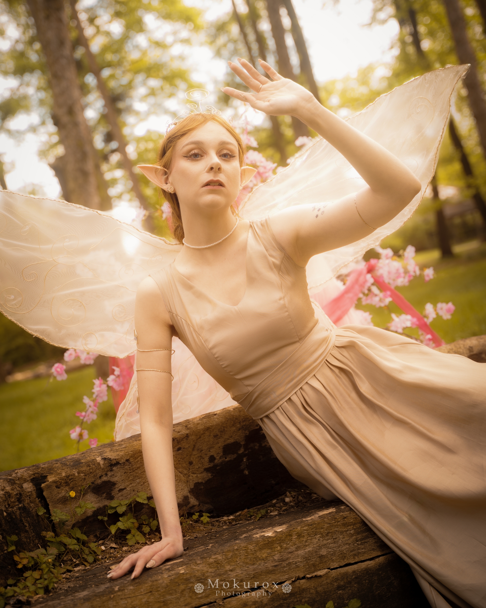 Reine Clarion - Photo 1