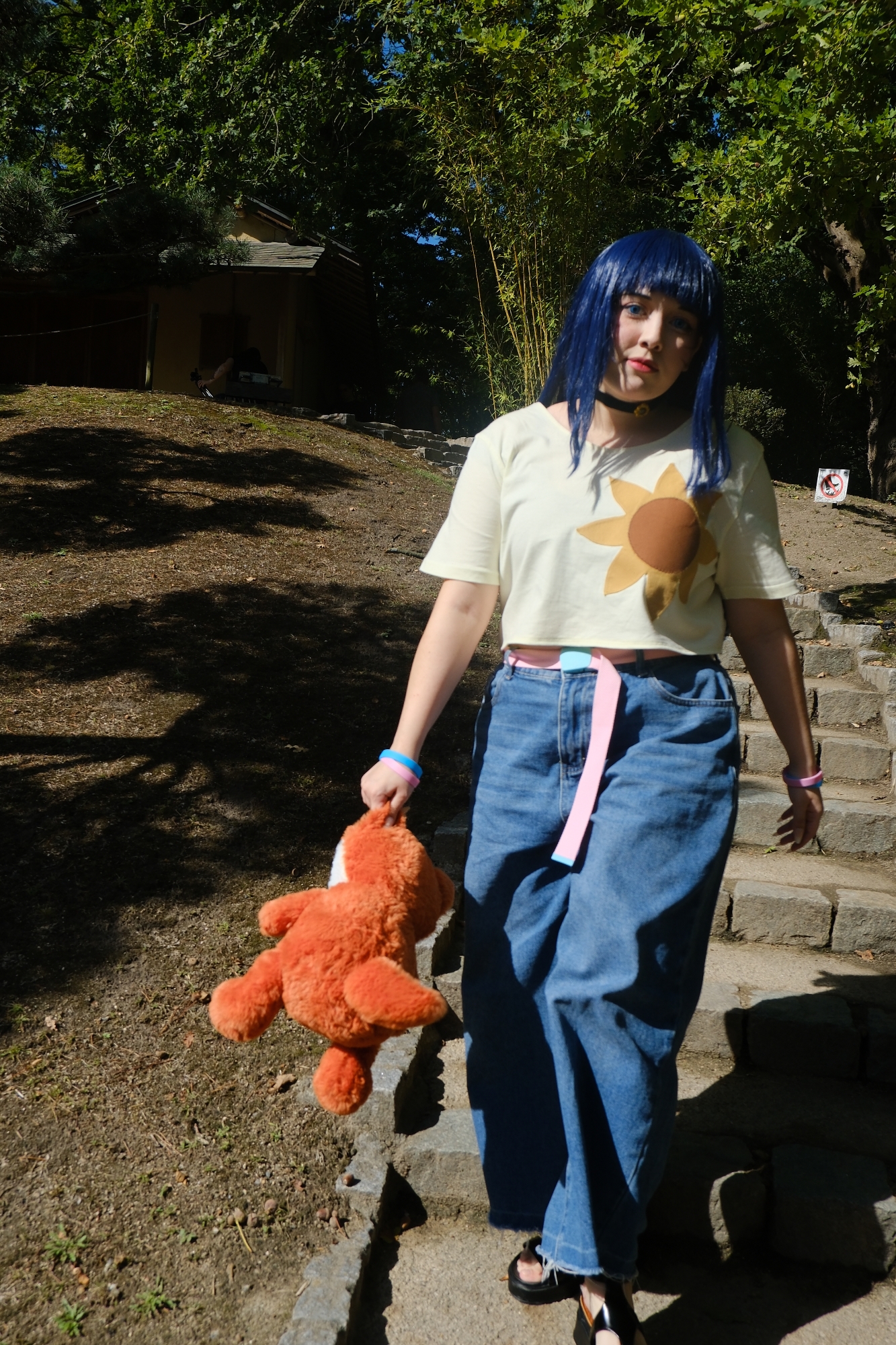 Himawari  - Photo 30