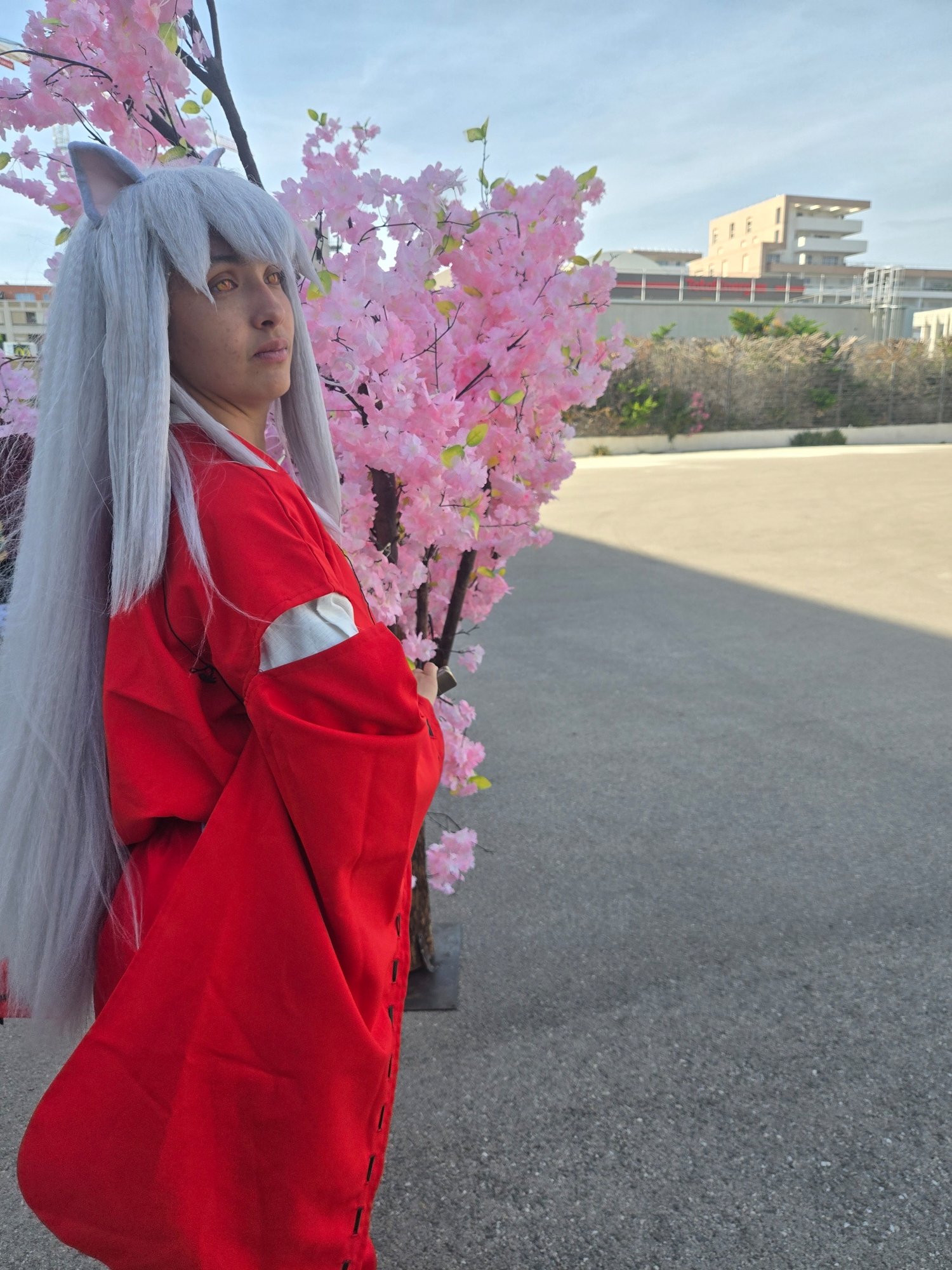 Inuyasha — photo 74