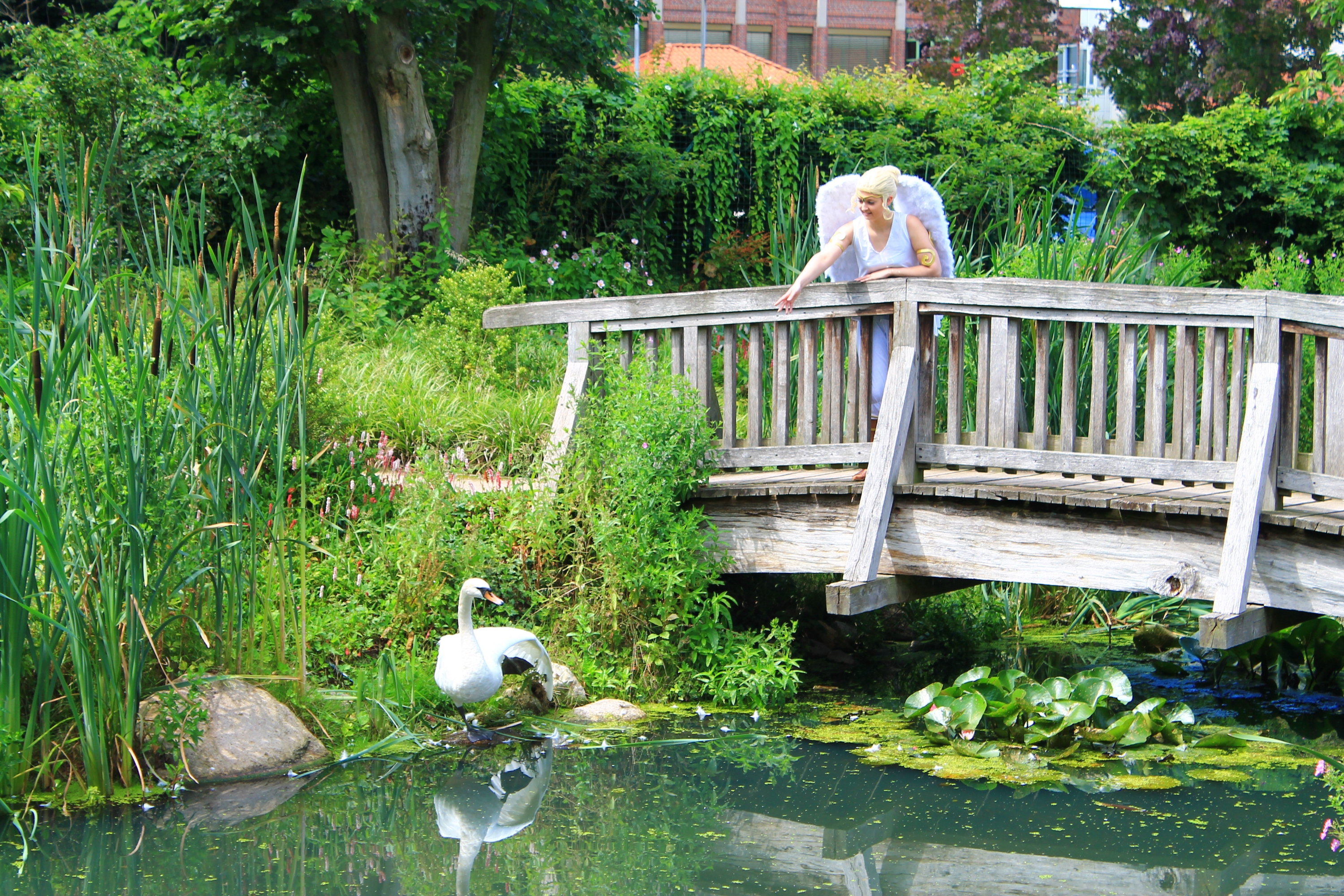 Angel (Tekken 2) - Photo 14