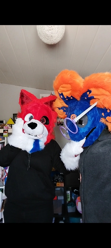 Stellar et Rød Ulva - Photo 5