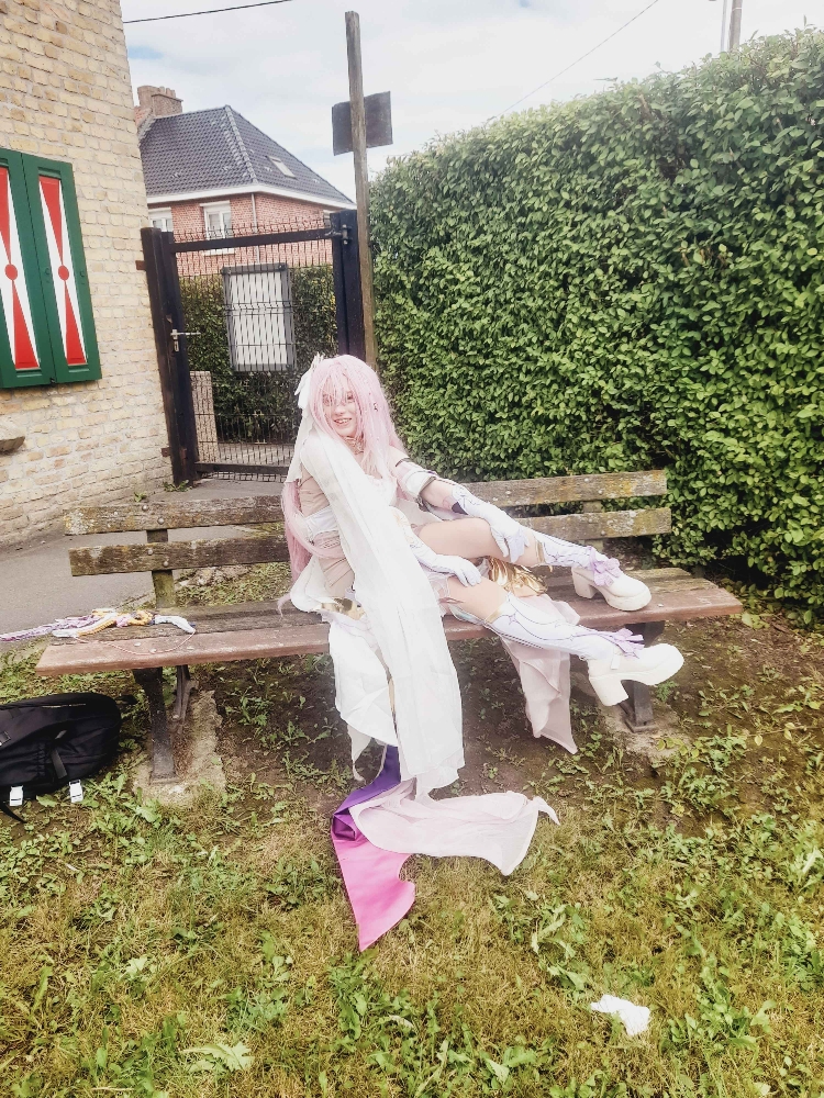 Elysia (Bailleul) - Photo 25