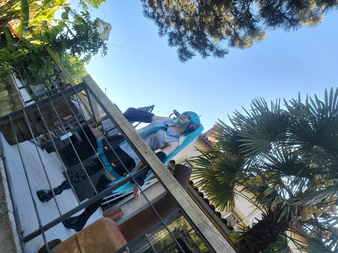 Miku — photo 11