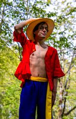Monkey D Luffy preview 2