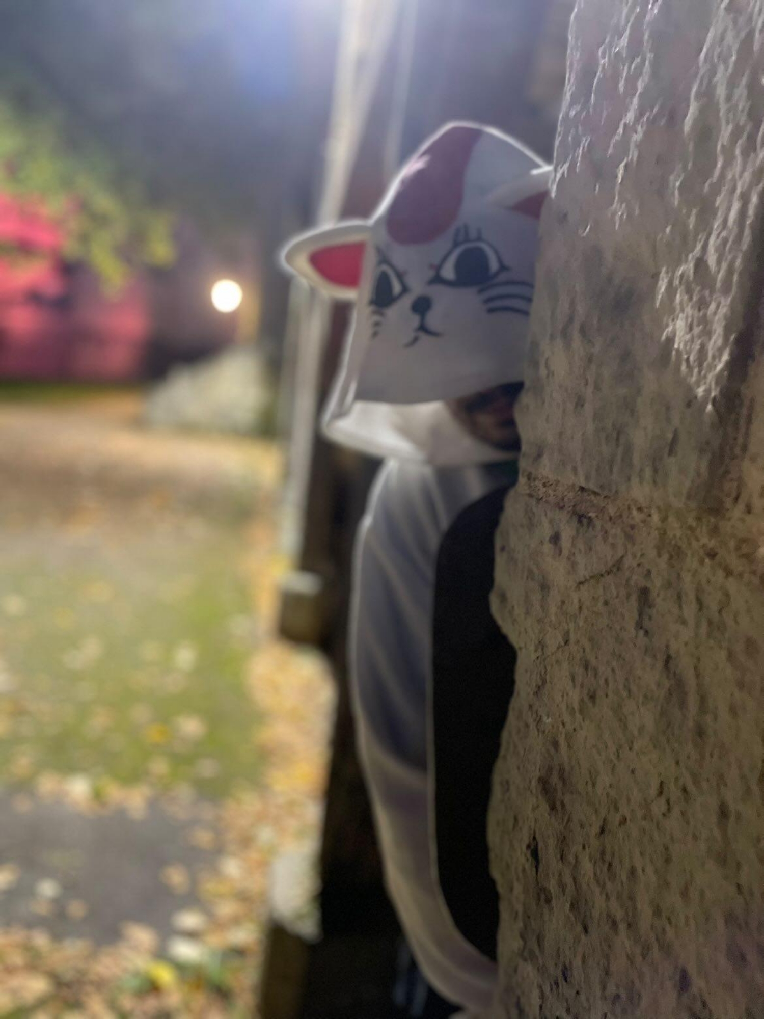 Halloween 2025 — photo 13