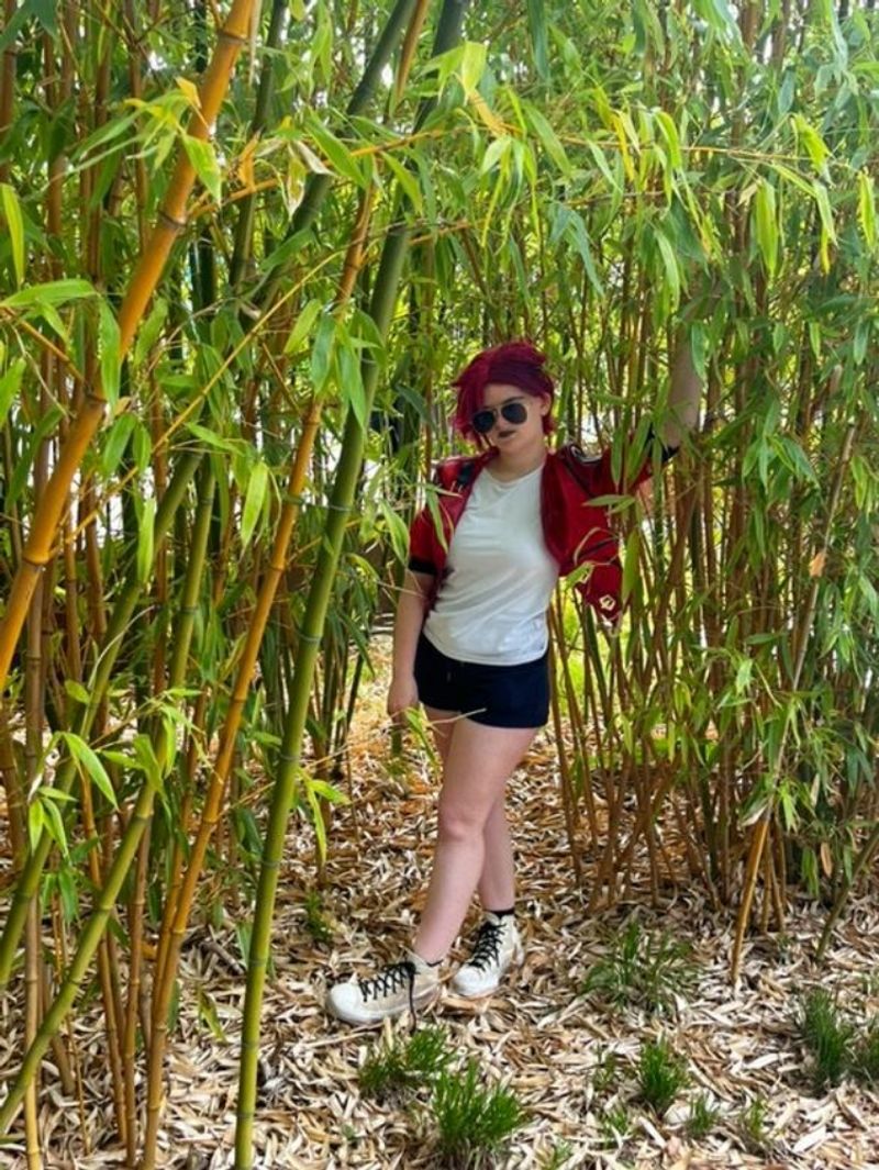 Ayden_kanashi_ – Vi