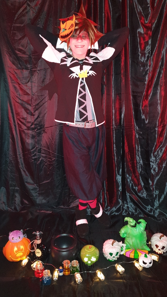 Sora Halloween — photo 8