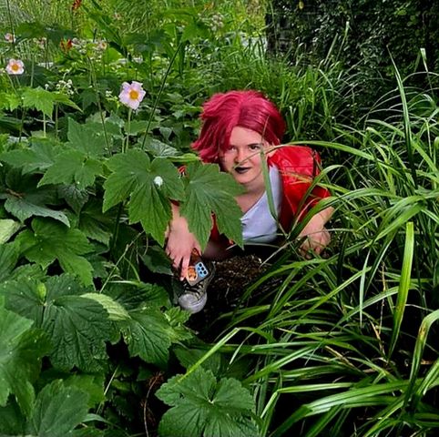 Vi