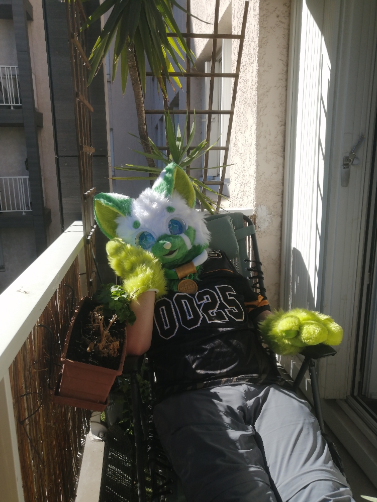 Ewie in misaki  - Photo 8