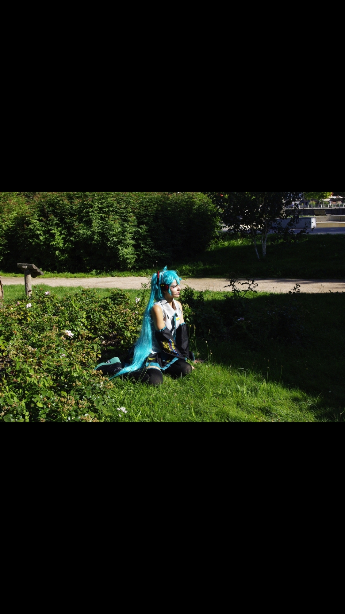 Miku — photo 16