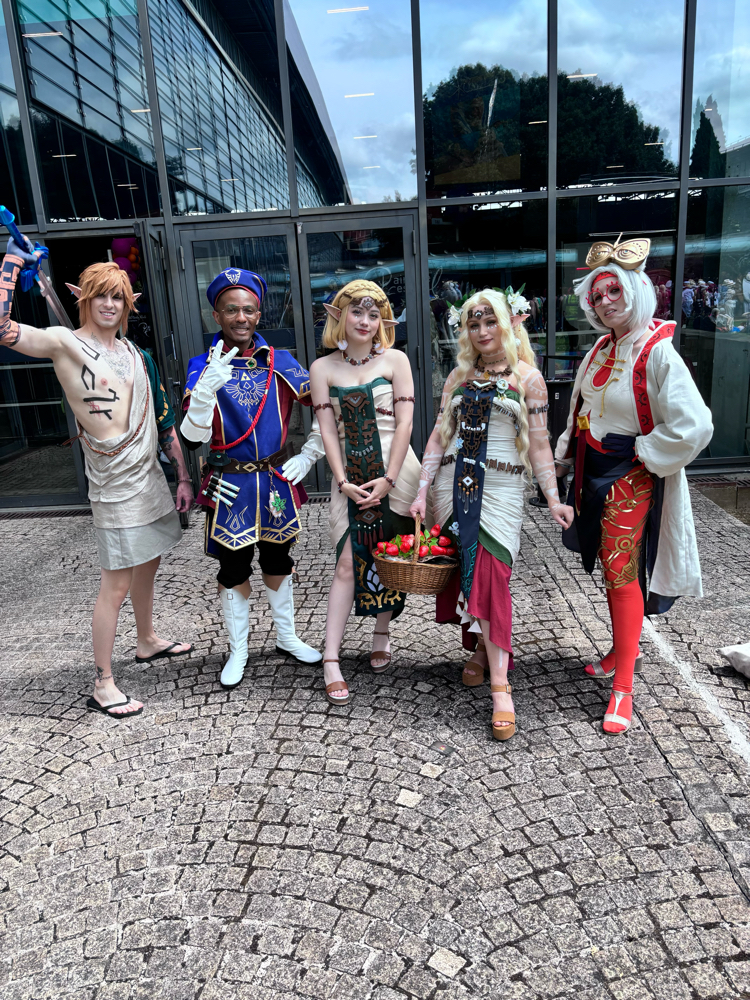 Link royal guard — photo 6