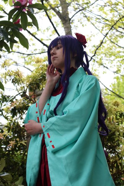 Wisteria - Aoi Akane (Thabor) 