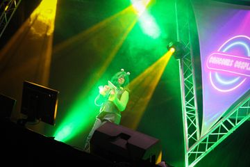 Kermit preview 2