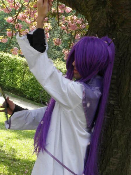 Kamui_shiro, Gakupo syncronicity 