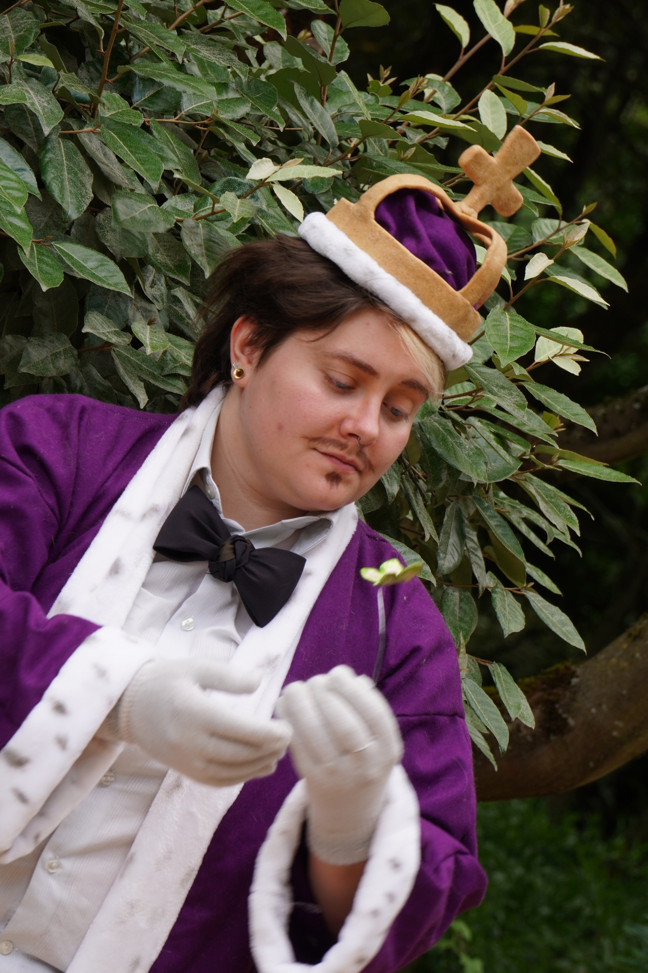 Kinger solo — photo 14