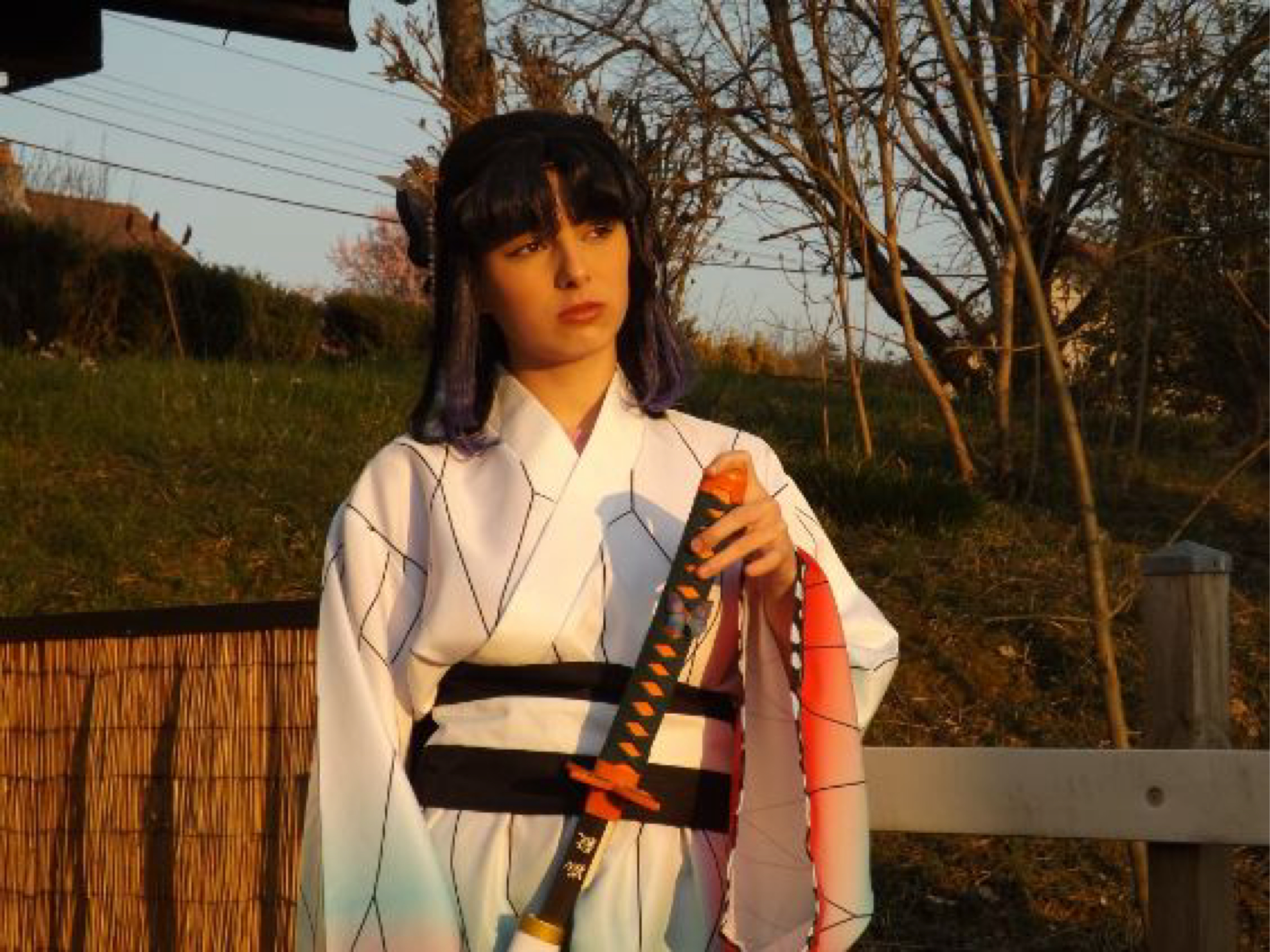 Shinobu kocho — photo 20
