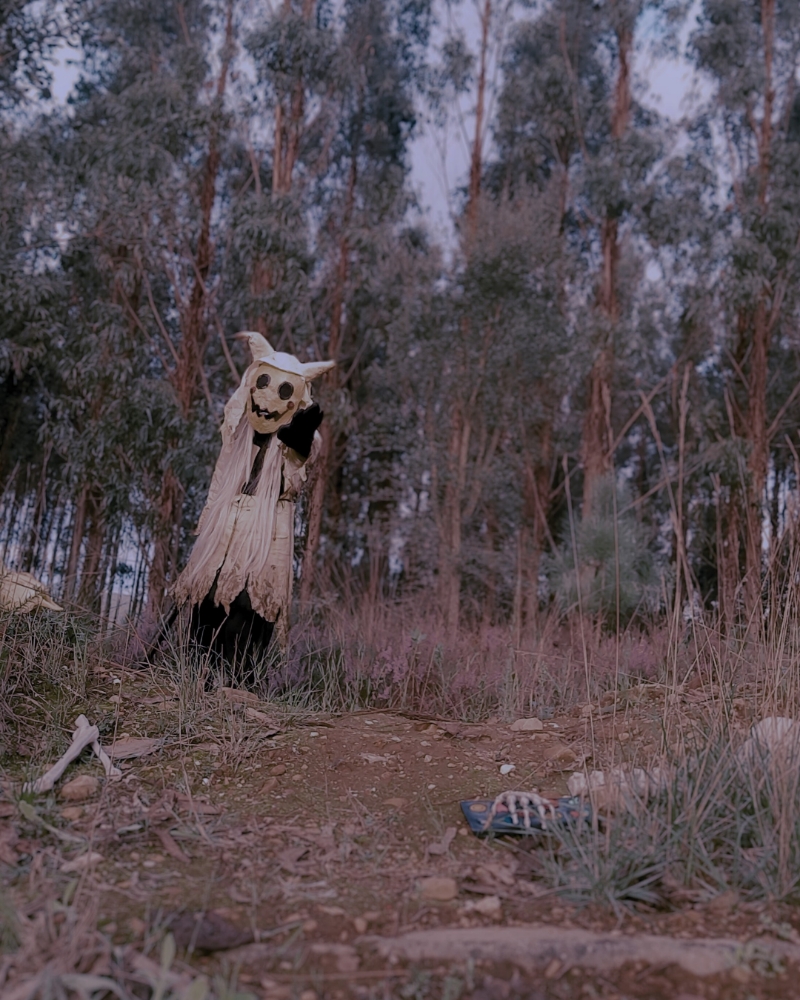 Halloween 2024 — photo 15