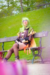 Collei preview 2