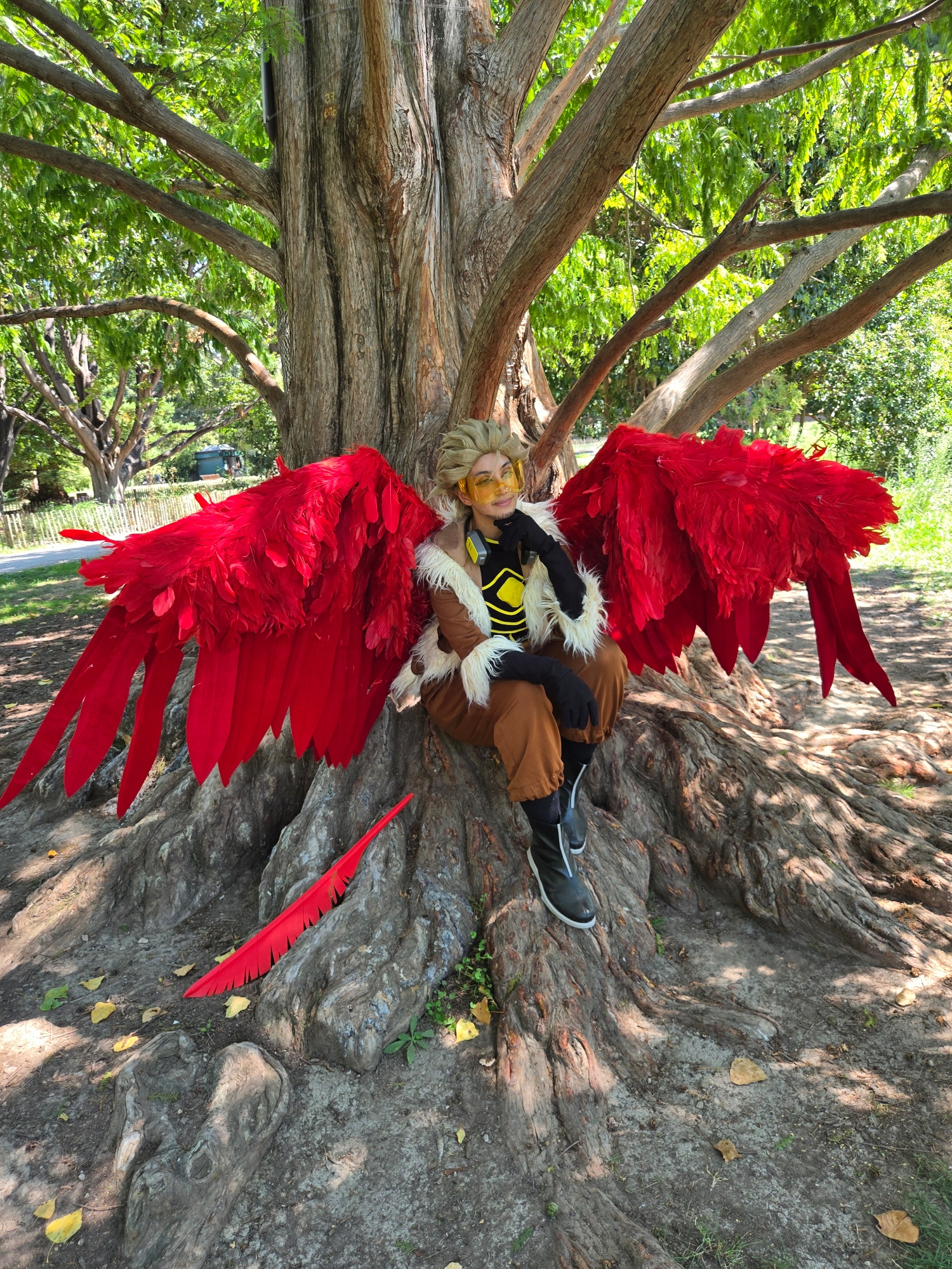 Hawks, photo 325
