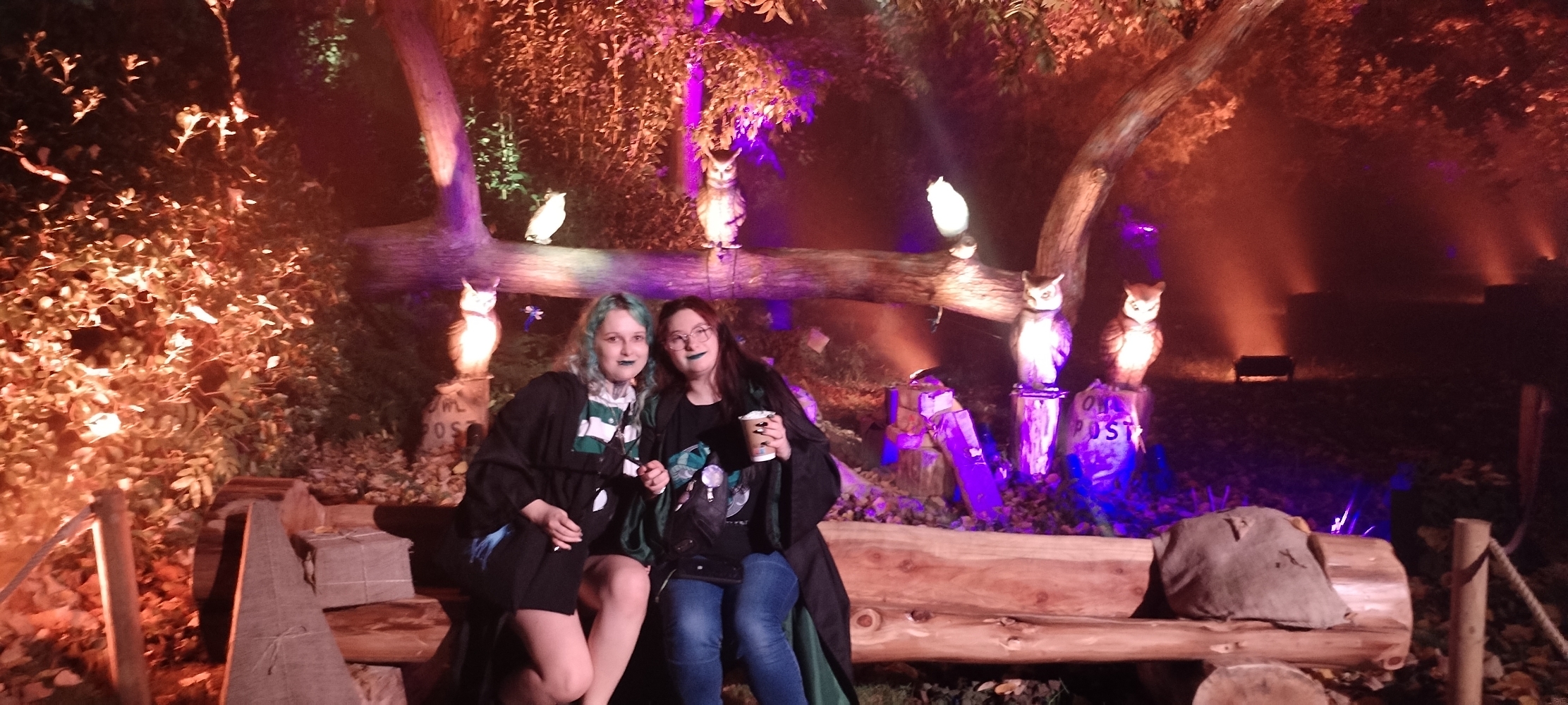 La forêt interdite - Photo 4