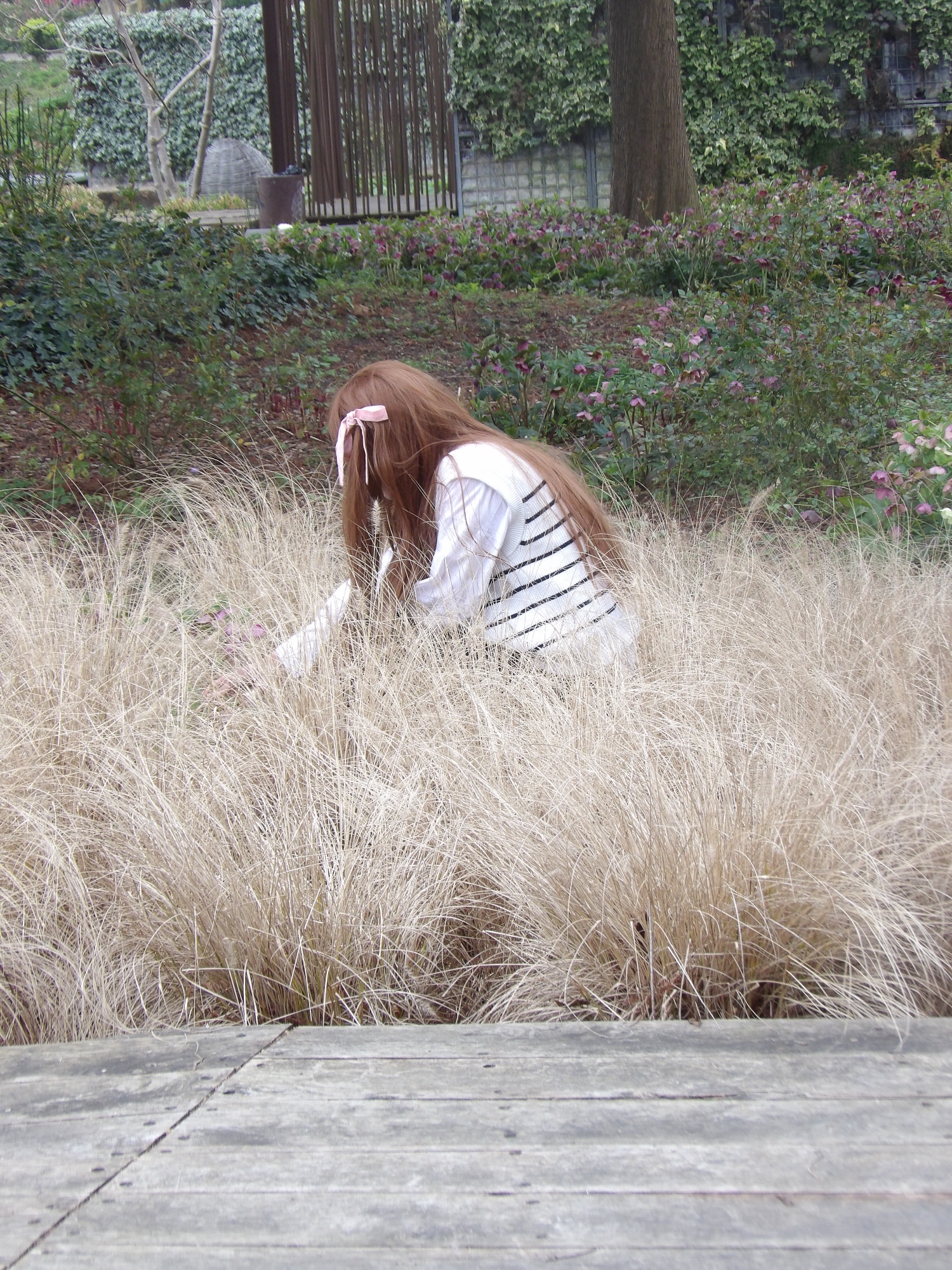 Tohru Honda — photo 48