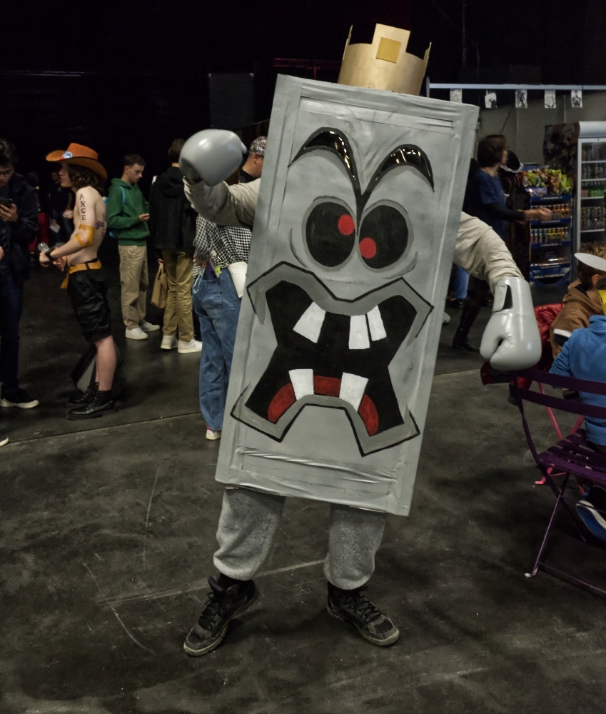 Roi thwomp - Photo 2