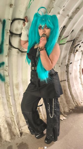 Dingadus_ - Miku