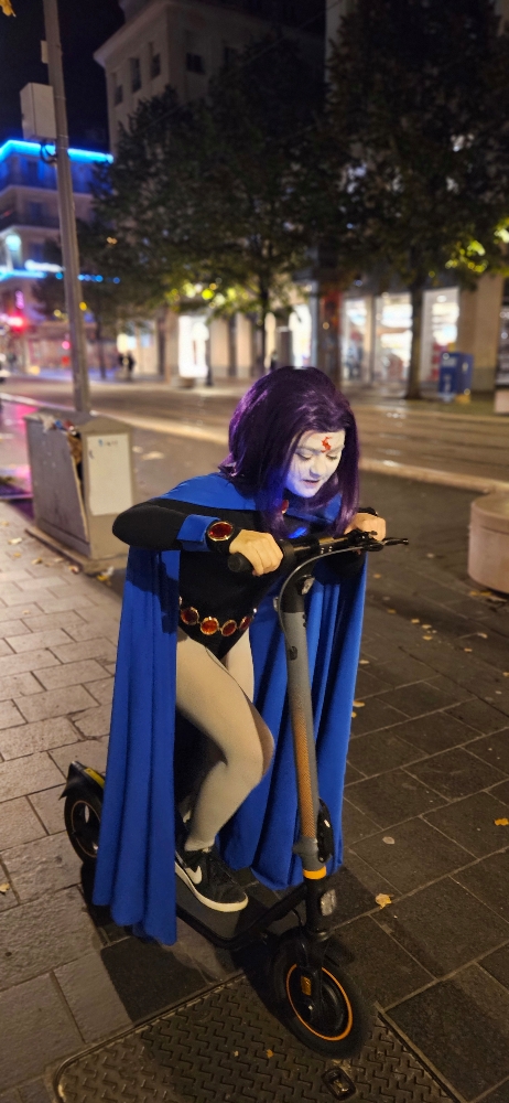 Halloween Raven — photo 14