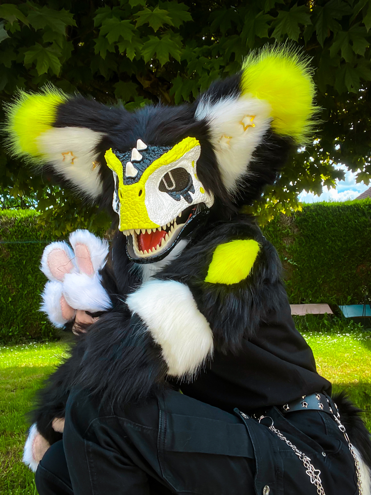 Photos Félix - Photo 1