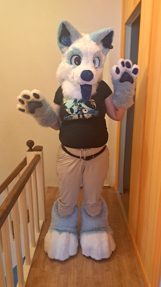 Titan refurb - Photo 3